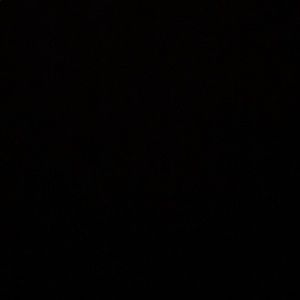 Meet your Posher, Kaleb